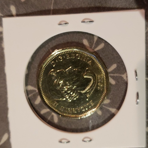 2022 canadian coloured limited edition loonie - Picture 2 of 3